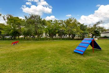 Expansive dog park